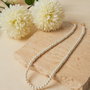 Heliophilia Silver Collar de Metal Dorado